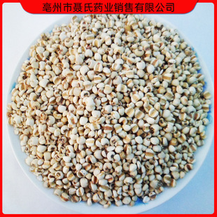 ���l�F��С޲�� ޲���� ���� ����s�ZС޲��