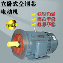 立卧式厂家直销电机YE3系列2极2.2kw/3kw/4kw/90kw三相异步电动机