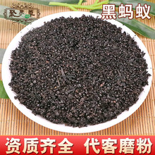 中药材批发黑蚂蚁黄蚂蚁黑蚂蚁干蚂蚁可泡酒承接订单常年经营大货