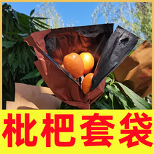 �t���������״����ô����ٽ��ӗ��Ҵ���ʯ�񼈴�����ï�ȸ�ˮ����