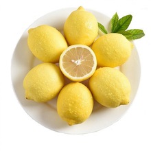 柠檬批发顶果果新鲜黄柠檬安岳新鲜大果皮薄一级果四川泡水多汁厂