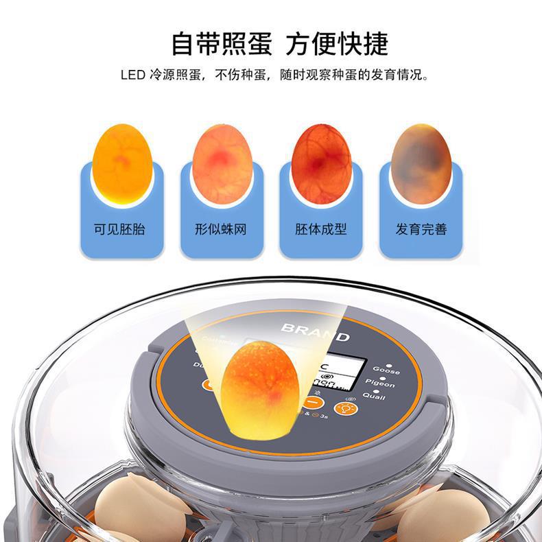 孵蛋器水床孵化器