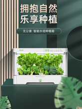 ˮ��Nֲ�C�o�������O��ˮ���߲�ͥ�҃�ѿ��˷Nֲ��