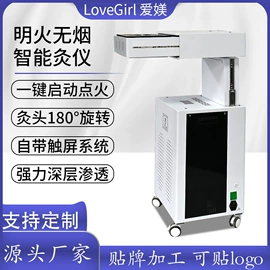 电子美容仪;其他按摩器材;其他美容仪器