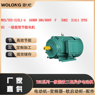 WE5/YE5-315L1-4  160KW 380/660V  IC411 IP55  B3һ����Ч늙C