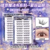 10 rows [glue-free model] Blue Tears