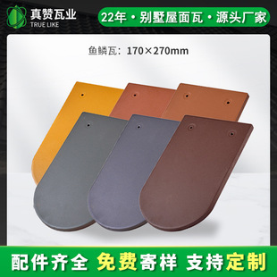 ��ٝ���~�[�ߏS�Ҳ�ɫ�մ��߄e�����̽��B��������l��Ƭ�e������