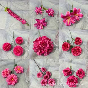 �ٻ����滨õ�tɫ��c�ٻ���c���滨����ٻ��b��đ����쾰��