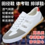 鲁泰武术田径网面休闲鞋