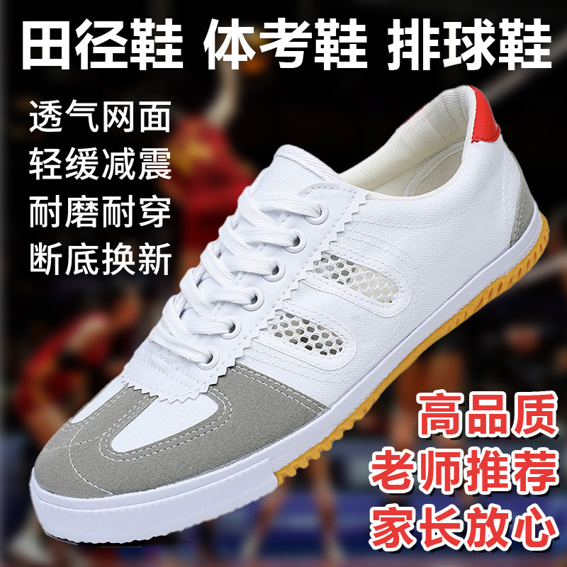 Lutai Mesh Volleyball Shoes Running Shoes Lace-up sneaker Casual Shoes Martial Arts Canvas Shoes Track and Field Training Shoes Sneakers