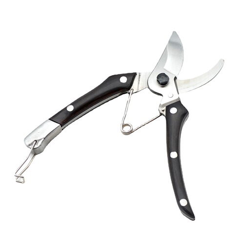 Famous diamond 150195 garden pruning shears, green pruning tools, fruit picking scissors, fruit branch scissors, gardening tree shears