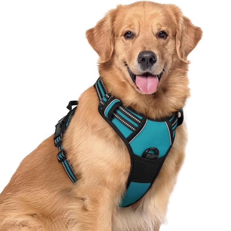 Corda de perro grande chaleco de pelo dorado correa de pecho anti-explosión Labrador Doberman cadena de cuerda de tracción de perro