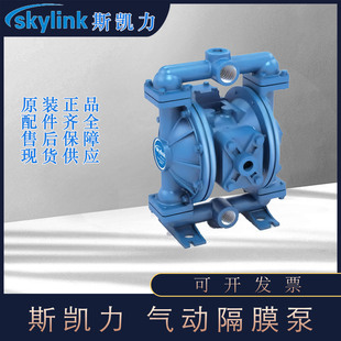 SKYLINK˹�P��SK40 50��Ӹ�Ĥ��2���X�Ͻ��ӱÚ��y����
