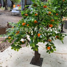 ����ˮ�������ӎ�֦���ӷ�����ģ�ͷ���ɳ�ǽ�ɰ���ۙ����b�