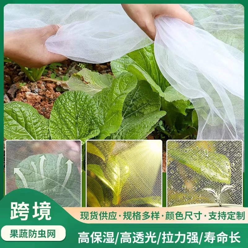 Manufacturer spot cross-border agricultural fruit tree vegetable insect prevention network Botanical gardening greenhouse export insect prevention network