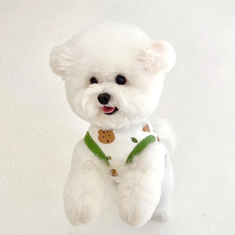 Camisas casuales caseras con dos patas, chalecos de impresión de oso encantador, ropa de perro, ropa de perro