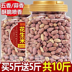 2025年新五香花生米官方旗舰店正宗山东蒜香熟下酒菜零食散装商用