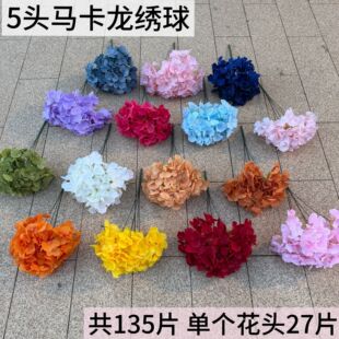 5�^�R��������135Ƭ���������Y���b�c���T�Ĕz����·��