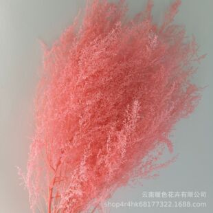 �������������ɻ��������նY���b͏d�廨��cܛ�b����[��