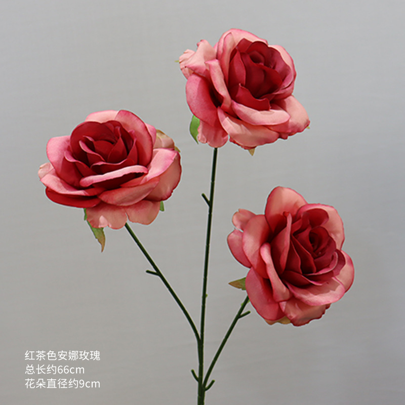 블랙 브라운 안나 장미 한 송이