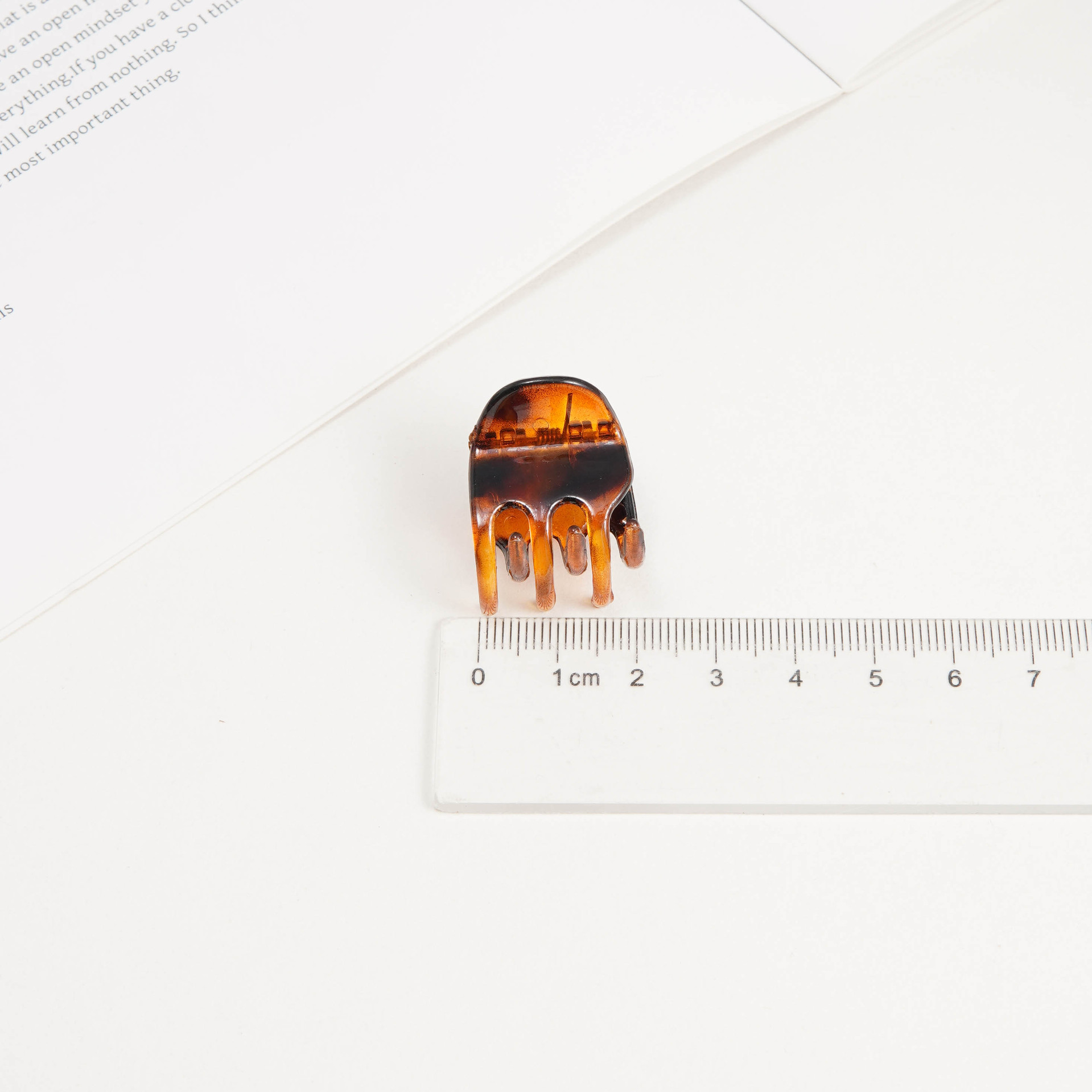 2CM 밝은 거북이 껍질 색상