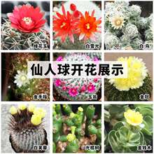 �����f��ɽ���ԾGֲ�_��������M���k��������ϲ��҃�������ֲ��