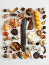 �ɹ��ɻ��˱��ϼ� �ֹ��[�����ϰ�diy�N��ֲ������ղ��b�