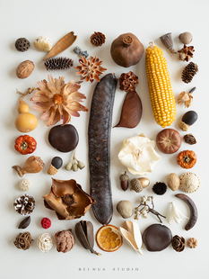 �ɹ��ɻ��˱��ϼ� �ֹ��[�����ϰ�diy�N��ֲ������ղ��b�