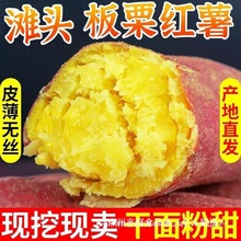 �����ͨ�}��ɳ���S������/�������F�ڵع��r���ԷN����