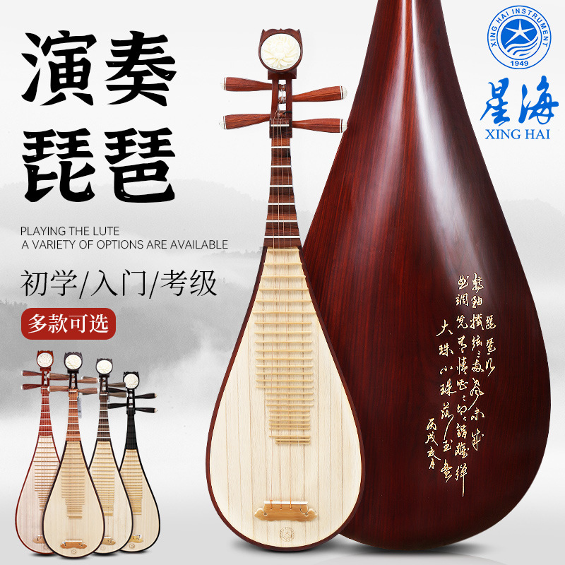 北京星海琵琶乐器初学者牡丹头儿童考级专用黑檀木专业琵笆成人