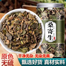 野生桑寄生中药材500克/250/100g桑树桑寄生正品新货桑寄生粉