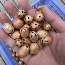 ӡ��ڹ����ֹ�diy�L⏲��ϲ��ݲ�Ư��������֓u⏄����b�Ʒ