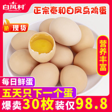 【30枚禮盒裝】正宗泰和烏雞蛋新鮮生態散養無菌蛋月子孕婦寶寶蛋