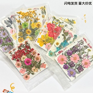 Ѻ����ϸɻ����~ճ�N�������滨ֲ��˱��ֹ����z�ɻ�diy���ϰ�