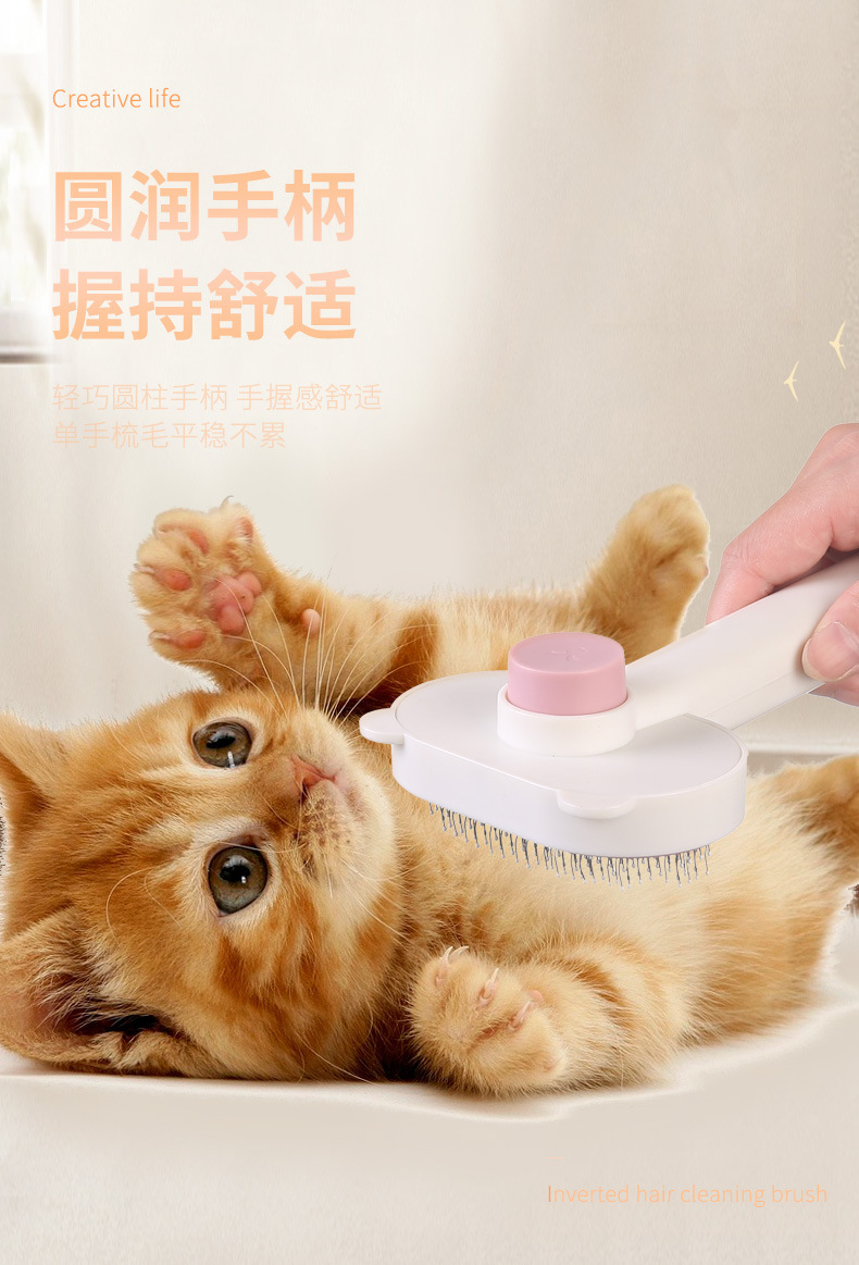 宠物专用刷_09.jpg