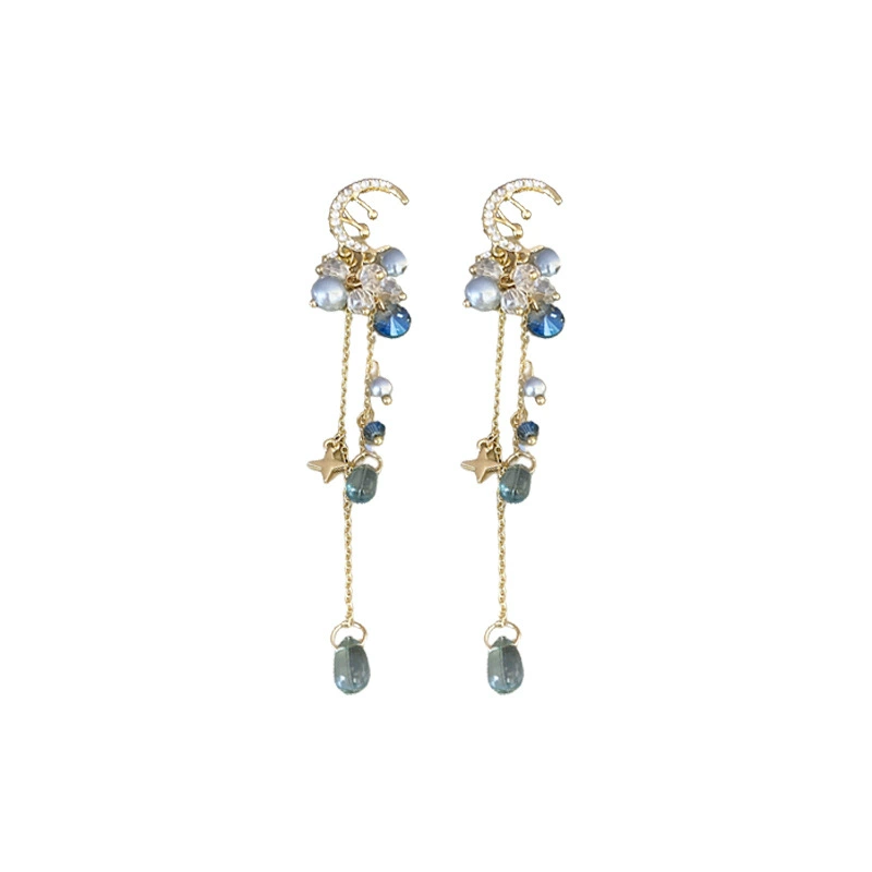 Earrings with tassels, light luxury style, no pierced ears, internet celebrity