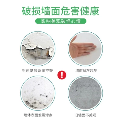 wall repair paint, Avtomobil boyası