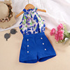 Set, summer children's clothing, jacket sleevless, children's clothing, wholesale