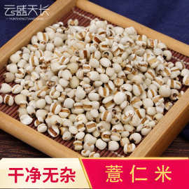 贵州薏米大货批发 散装农产品一件代发薏米仁 新货薏苡仁中药材