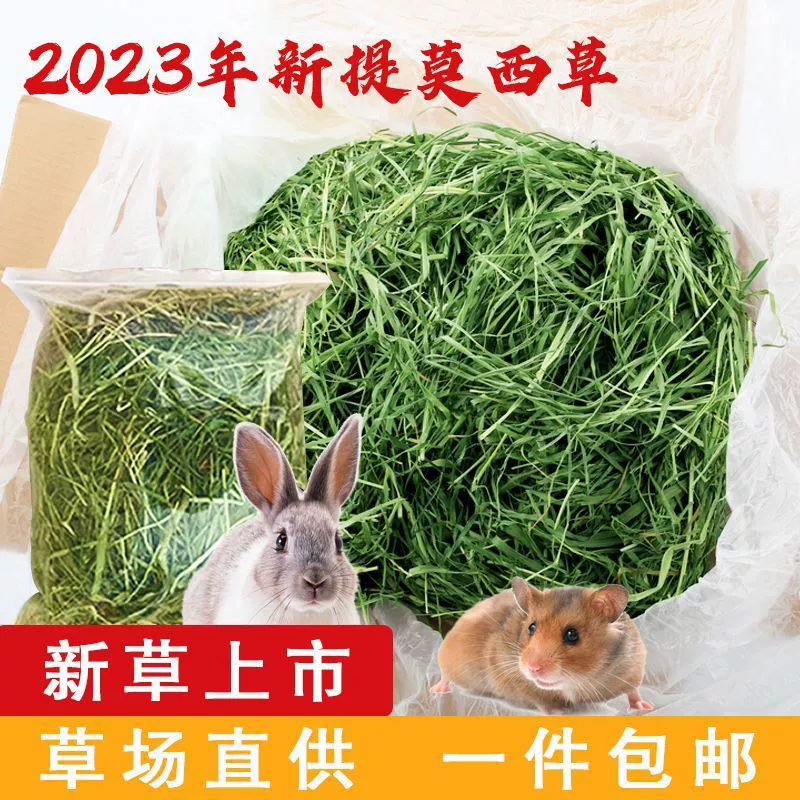 Тимоти-хай для миниатюрных кроликов, кроликов с длинными ушами, короткая трава Тимоти, измельченная трава, трава для шиншилл, пастбище для морских свинок от производителя