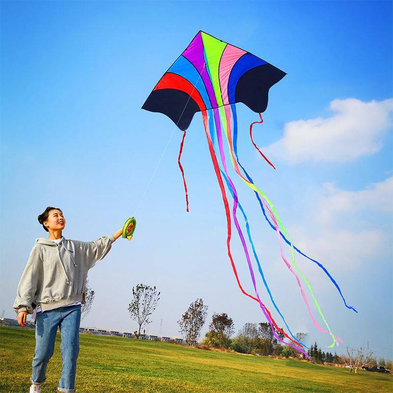 Flying kite Adult Dedicated large high-grade children Breeze Nasty easily fly Large giant adult 2020 edition