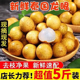 �V�|�������r����ʯ���������x5��Fժ�F�l�����Ϙ���A��S���]