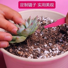 Succulent tools gardening tool set package planting gadgets gardening three-piece set spray kettle watering kettle shovel