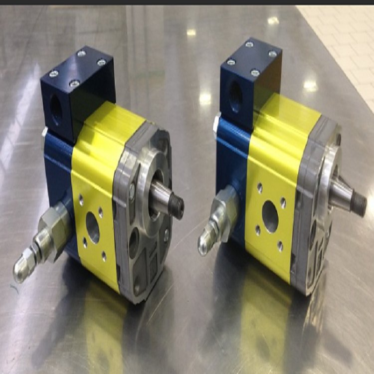 意大利Vivoil 73X1P1802FJJA系列进口齿轮泵 液压马达