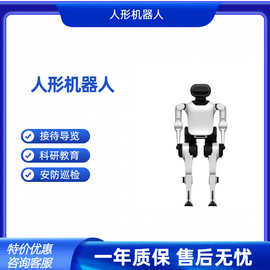 智能人形机器人接待导览机器人科研教育表演展示安防巡检机器人