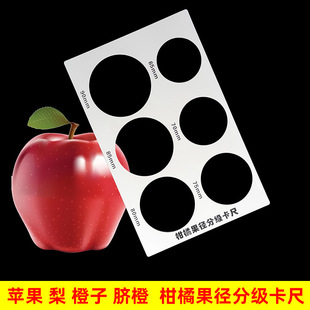 �O����С�y���߷ֹ��������Ě�ȸ��ٹ����ּ�����Ȧ�x��Ȧ����Ȧ
