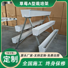 ����PVC��ݮ���w�Nֲ�ܲ���������ۼ�ͥ�߲˷Nֲ���|��A�������