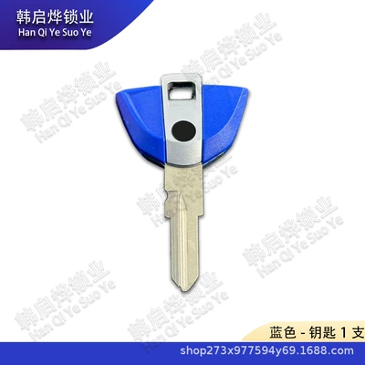 G310Gs High Quality — Motorcycle Key