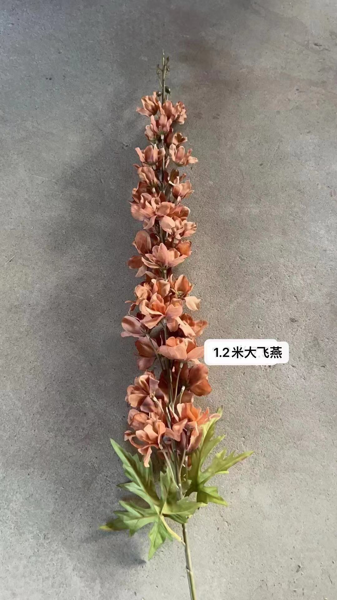 微信图片_20231210090029