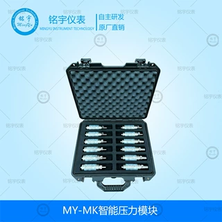 智能压力模块便携式压力校验仪压力校准仪可配套不同压力范围